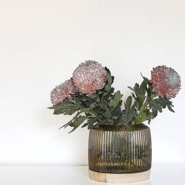 NPJ Gallery 01 768x768