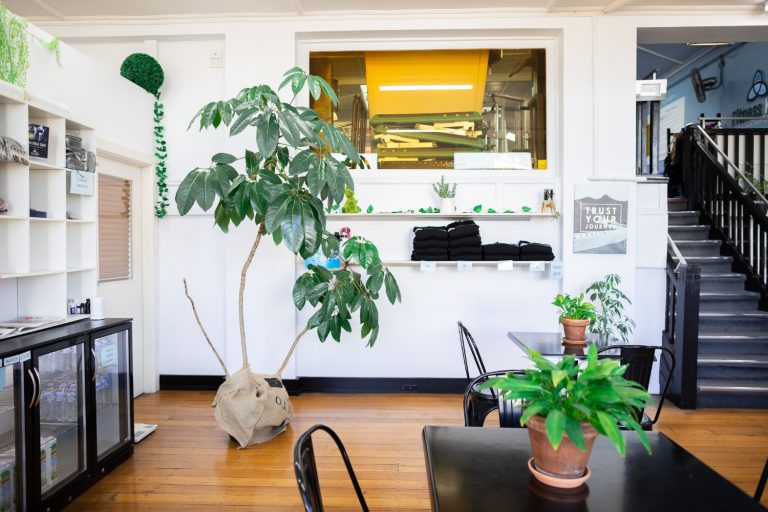 Flemington Fitness Kick 3 768x512