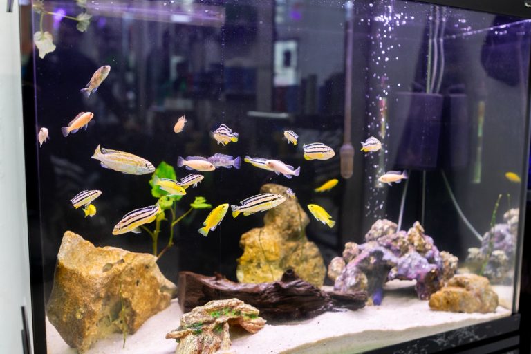 Freshen up barbershop flemington 9 768x512