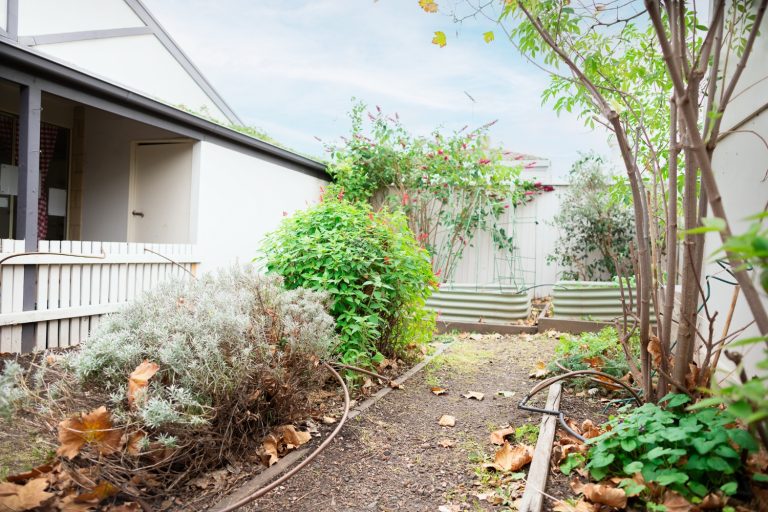 Goodstart early learning flemington 19 768x512