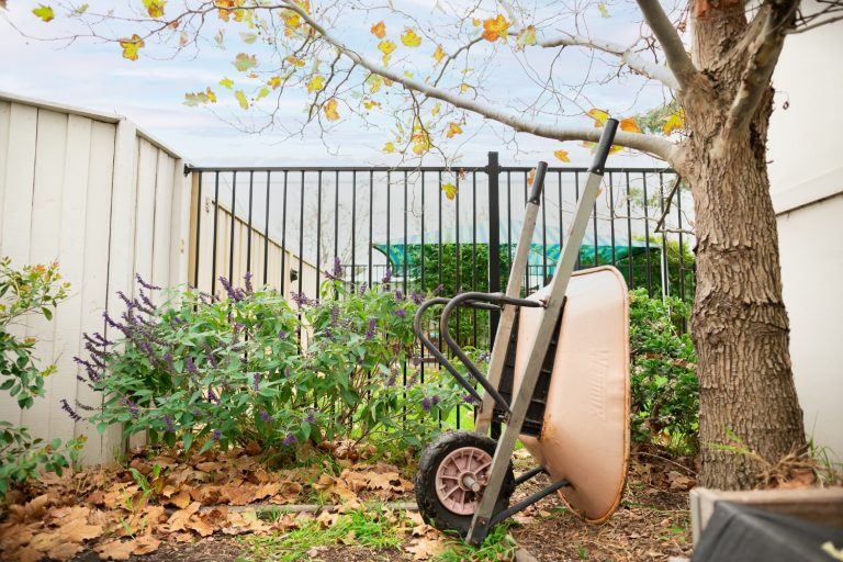 Goodstart early learning flemington 22 768x512