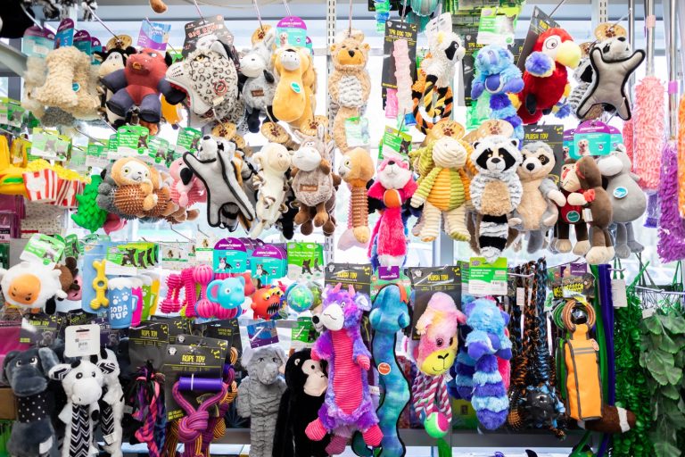 bargain trendz flemington 9 768x512