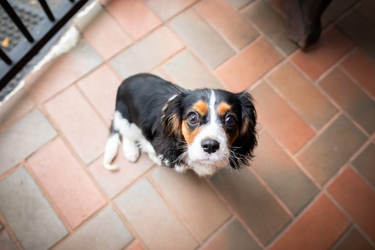 kulture garage flemington 38 768x512