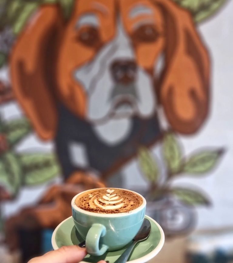 Wolf & Hound Cafe Flemington Wolf & Hound Cafe Flemington